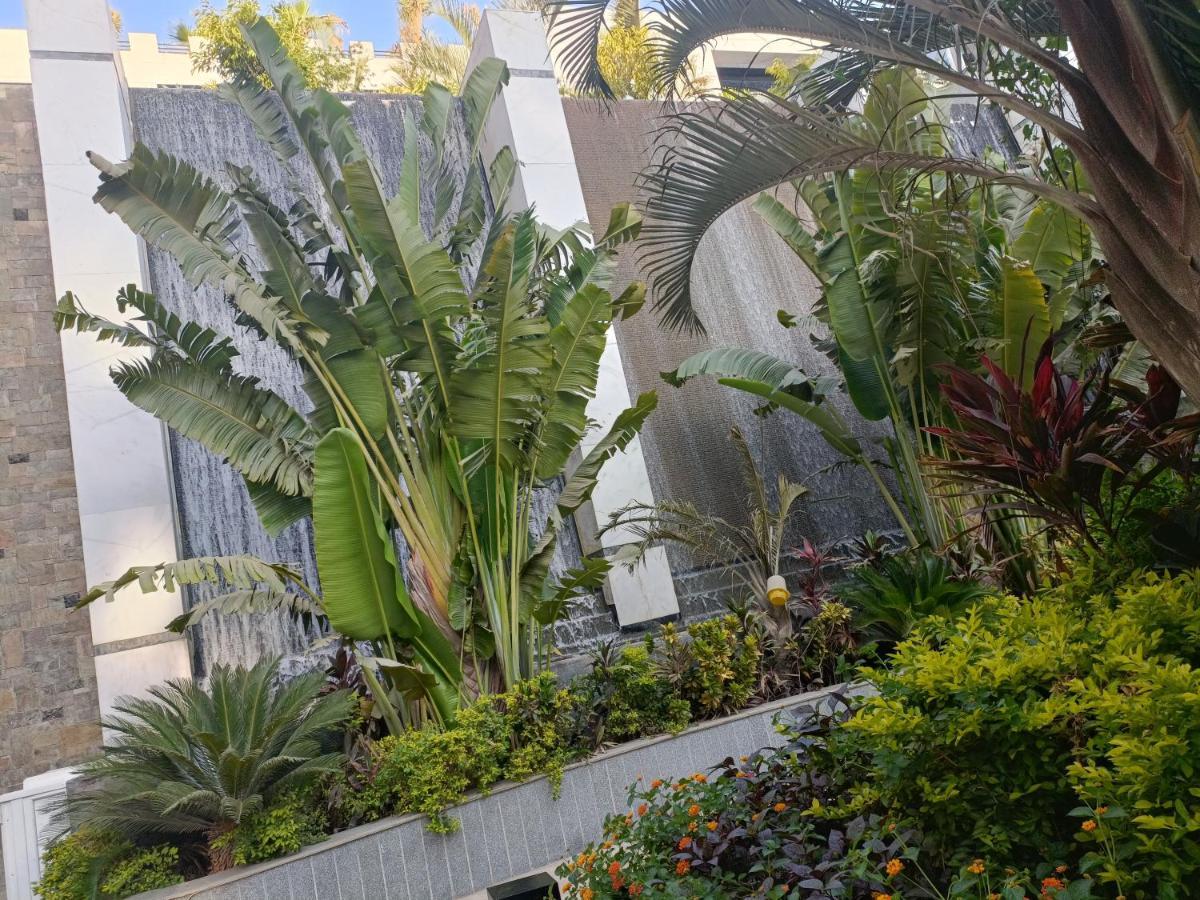 קהיר Sheraton Ocean 101 - Private Apartments מראה חיצוני תמונה