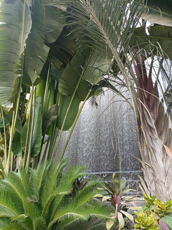 קהיר Sheraton Ocean 101 - Private Apartments מראה חיצוני תמונה